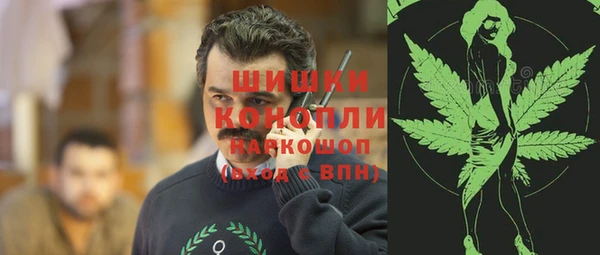 сатива Арсеньев
