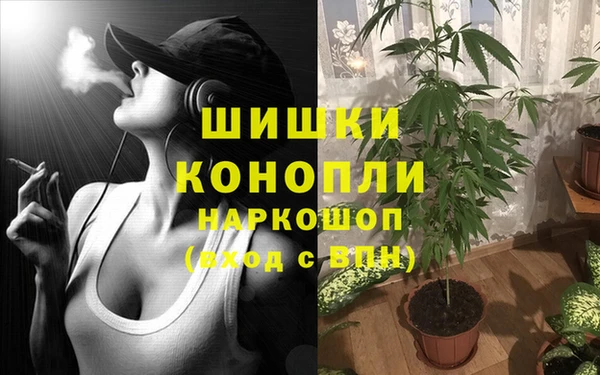 сатива Арсеньев