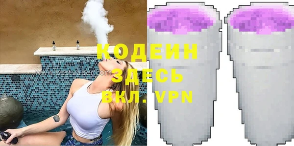 сатива Арсеньев