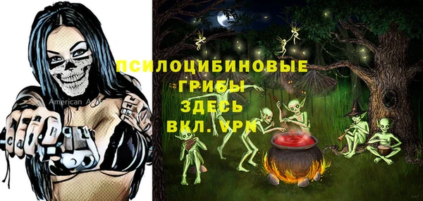 сатива Арсеньев