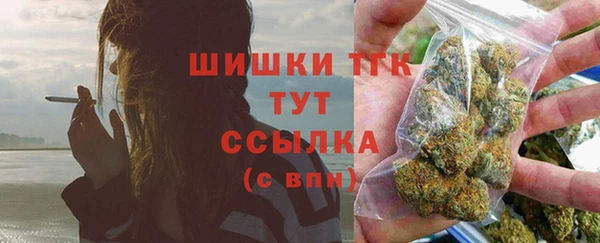 сатива Арсеньев