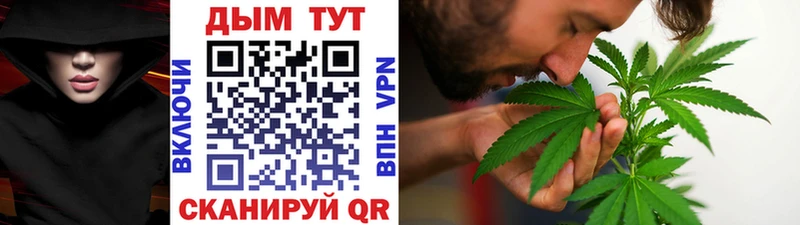 Купить закладки Струнино Каннабис White Widow